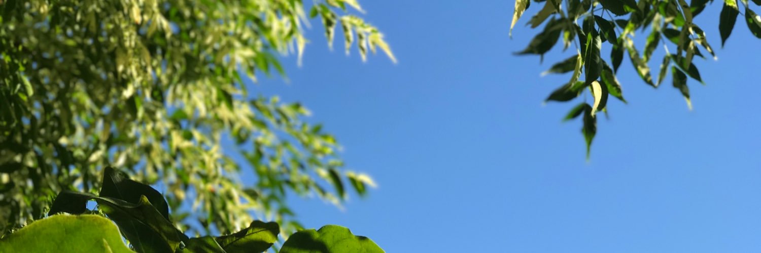 Gonzaro07's profile banner image
