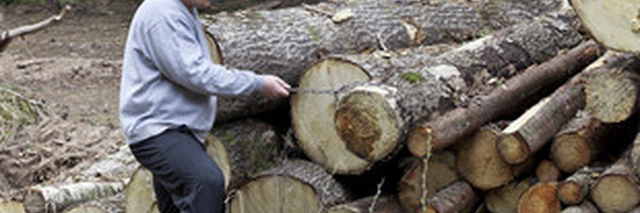 Birmingham Tree Serv banner