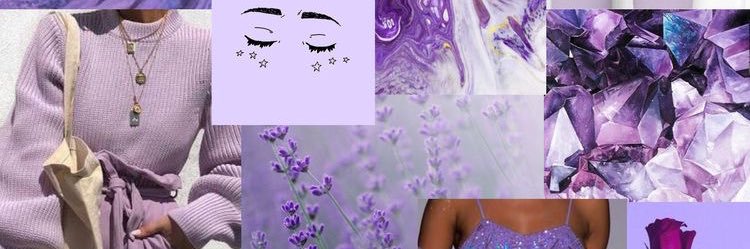 julesdesantis's profile banner image