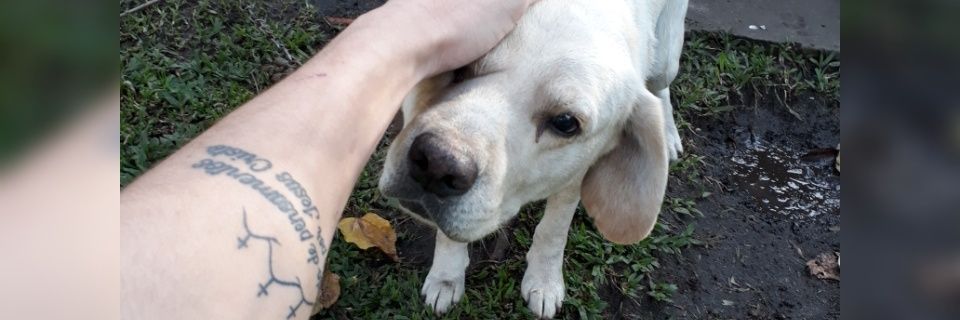 Gean_Cubas's profile banner image