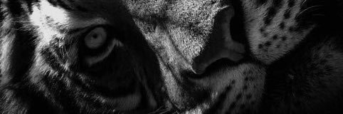 omvj21's profile banner image