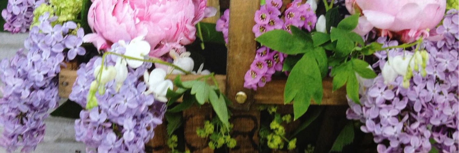 gailforder's profile banner image