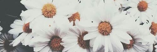BabiEngelhardt's profile banner image