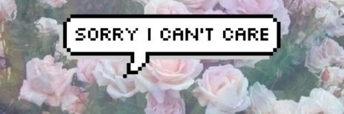Sofi banner