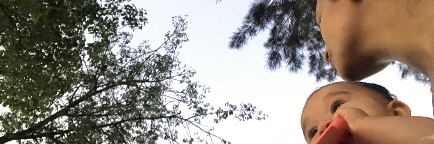 Dalmajara's profile banner image