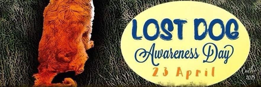 LostDogsTN's profile banner image