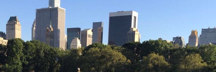 meritamit's profile banner image