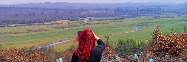 danielamlsq's profile banner image