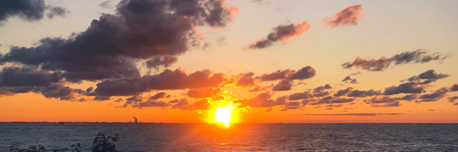 coley_ettore's profile banner image