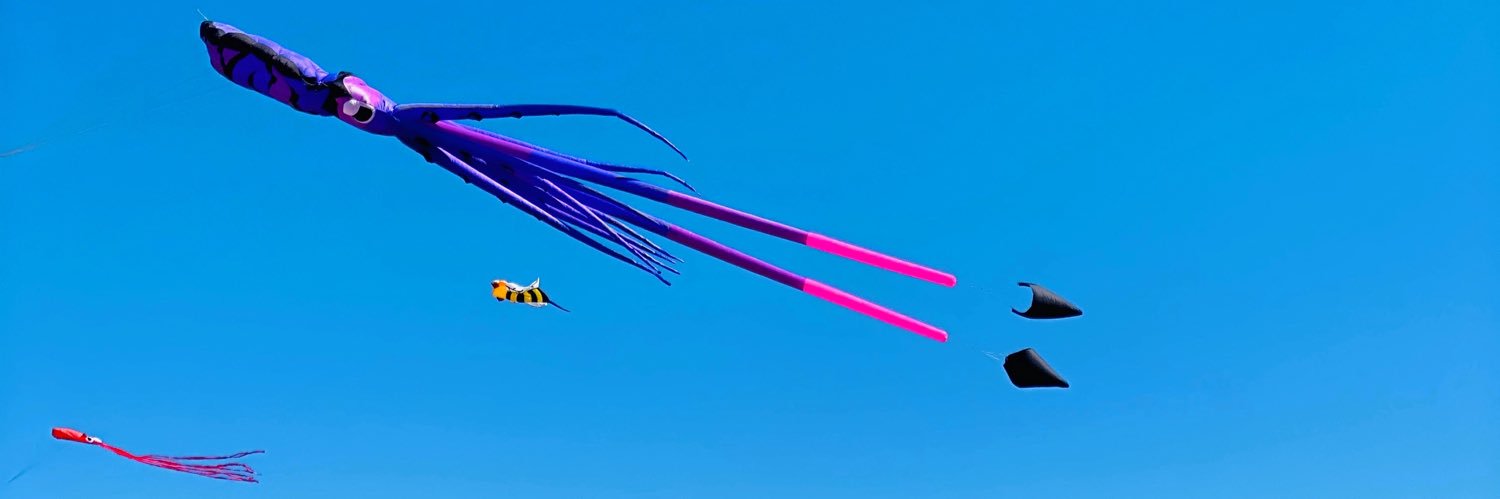 Osheidy's profile banner image