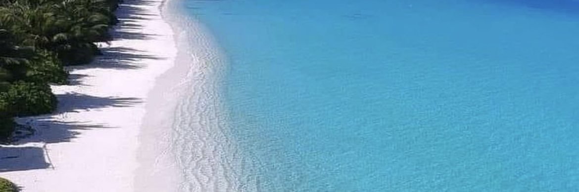 Freddy Guzmán Balbás banner