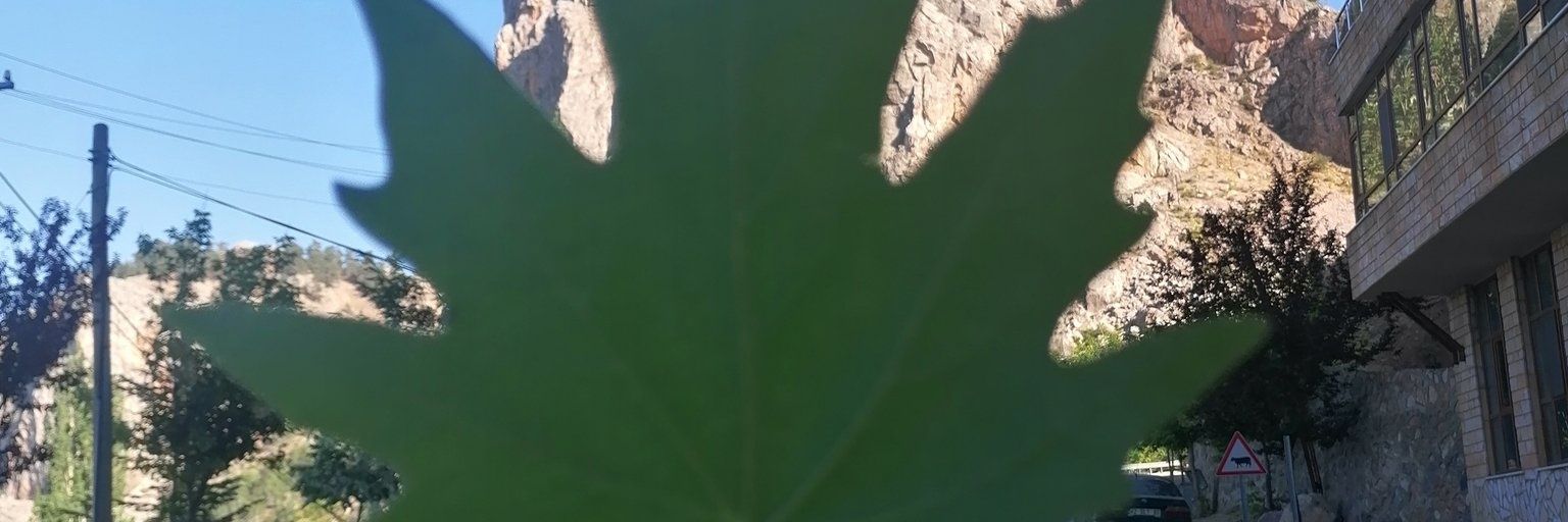 MustafaAkbalk1's profile banner image