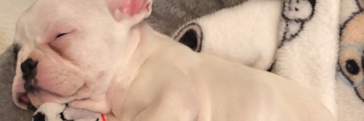 Ryan banner