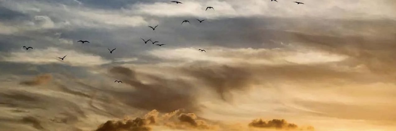 Alejags82's profile banner image