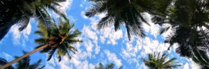 unicornmonics's profile banner image