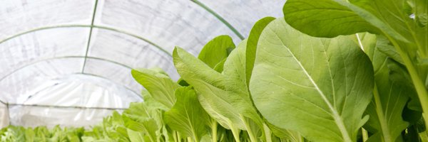 TuftsNutrition Profile Banner