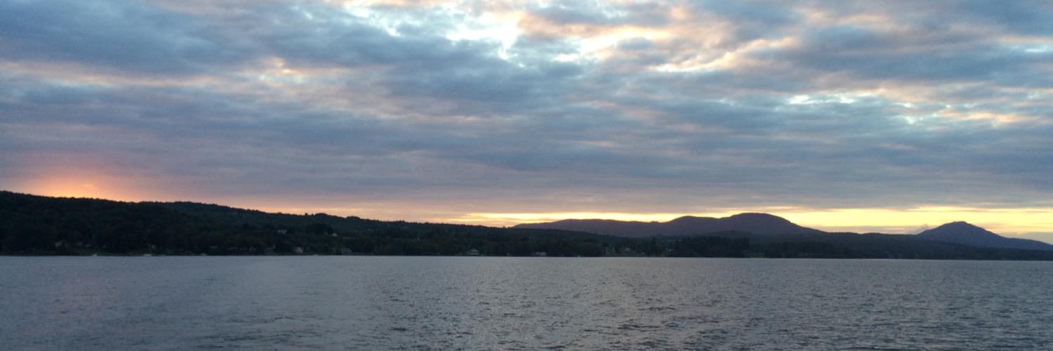 LisaDValente's profile banner image