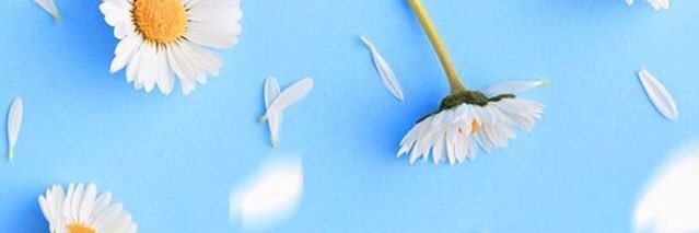 calllmezee's profile banner image