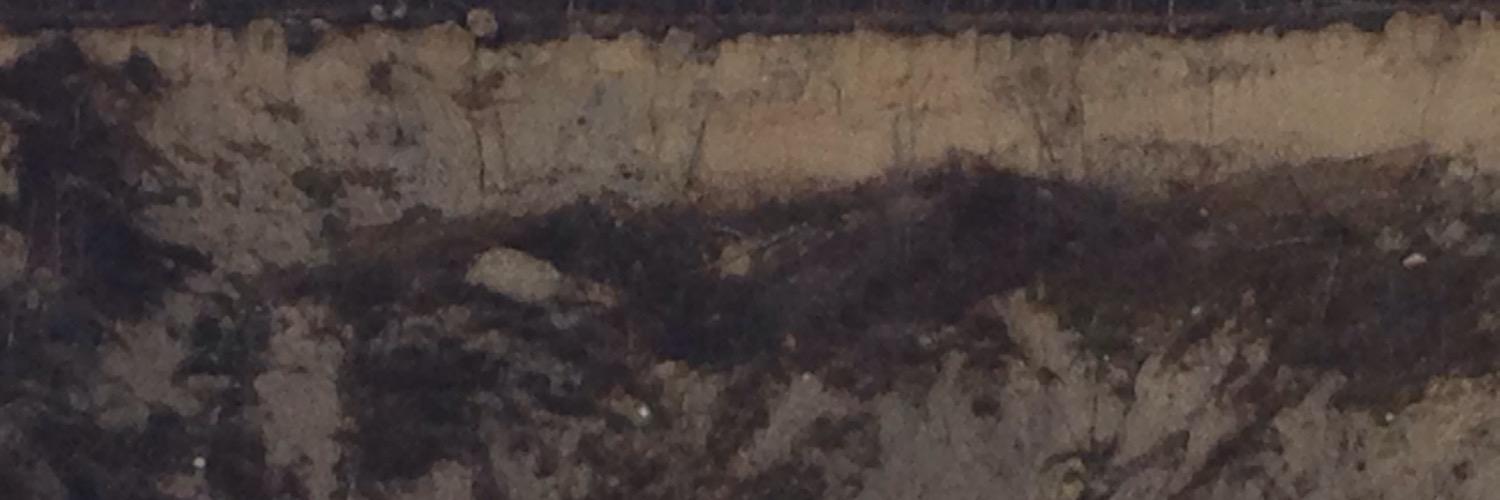 MNmining's profile banner image