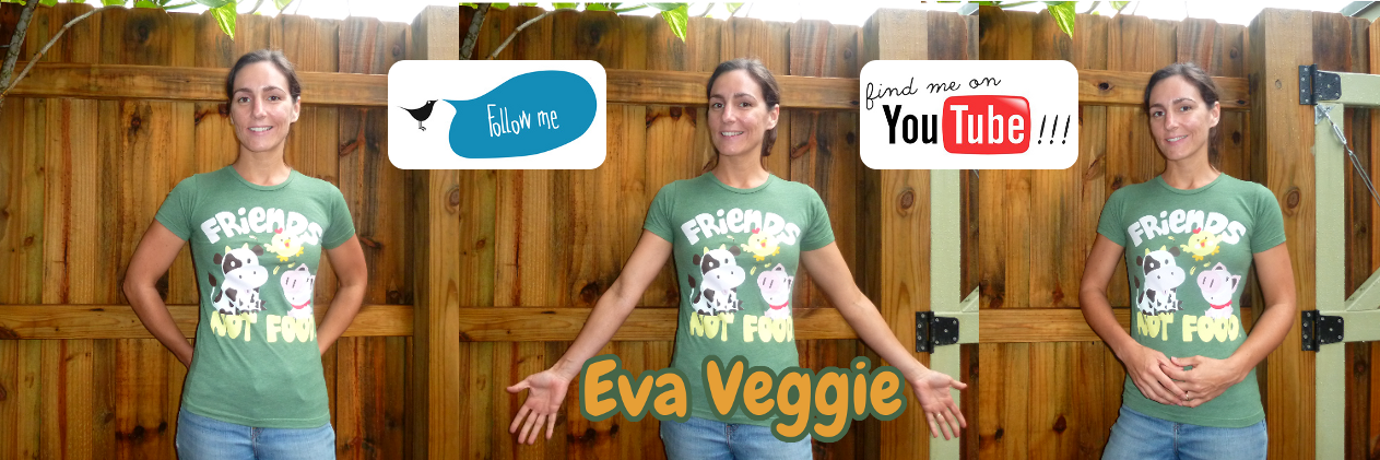 EvaVeggie's profile banner image