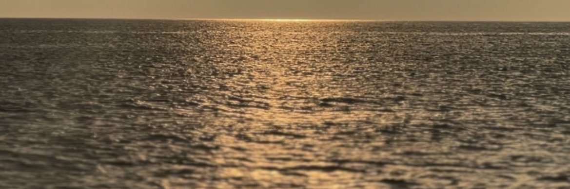 g_canale's profile banner image
