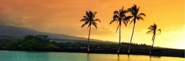 LindsayHarty Profile Banner