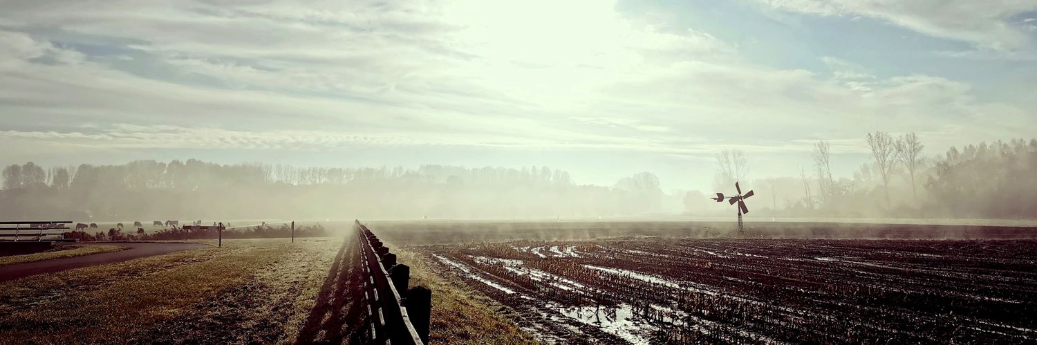 fredbijl's profile banner image