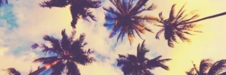 Laylaxxxx's profile banner image