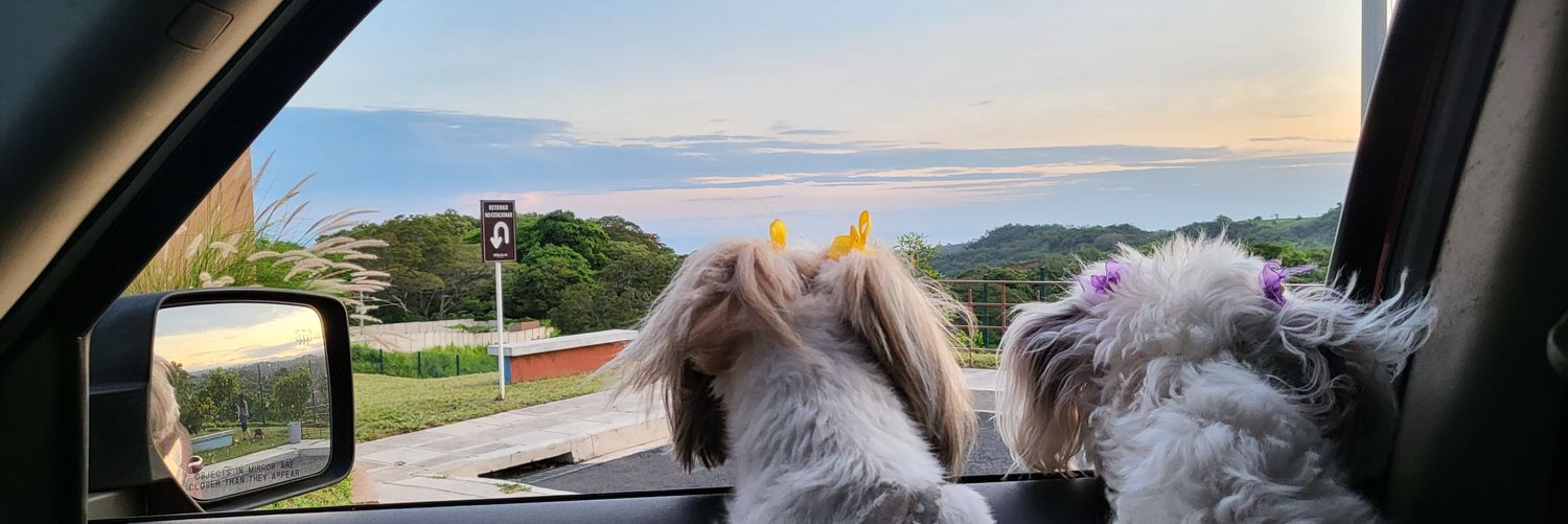 MelanieTeD's profile banner image