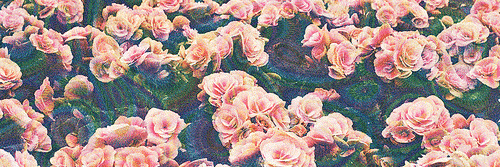 LaPochetteRec's profile banner image