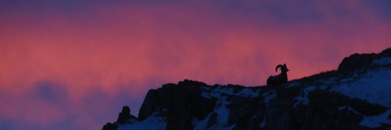 _crockpot's profile banner image
