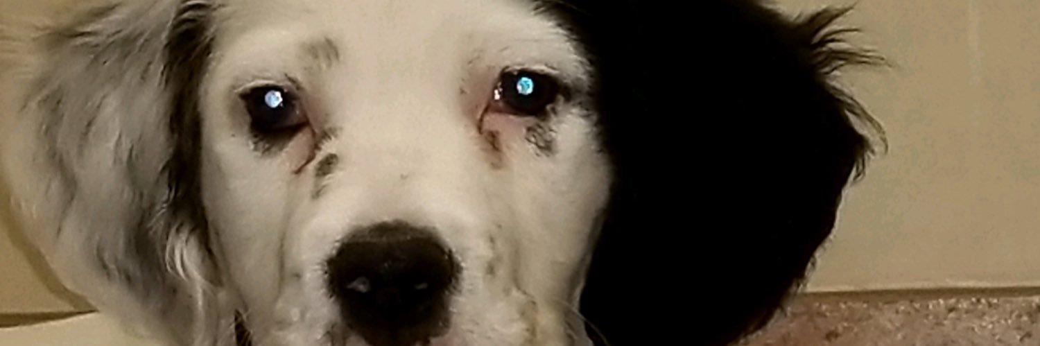 Justin_Widick's profile banner image