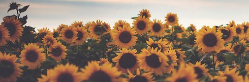 _jacquelynpow's profile banner image