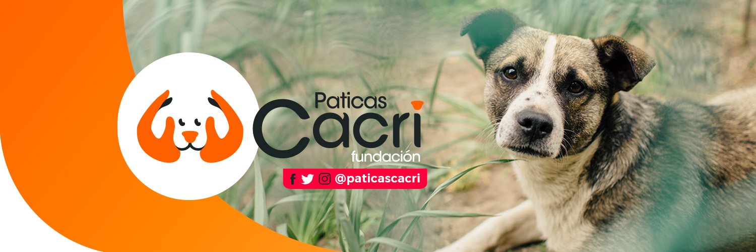 PaticasCacri's profile banner image