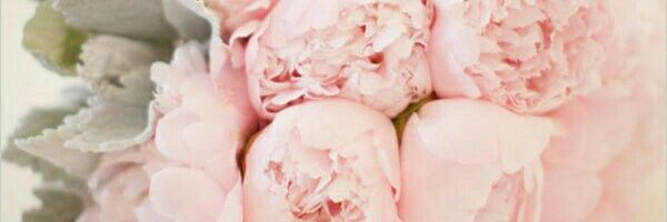 meestik6986's profile banner image