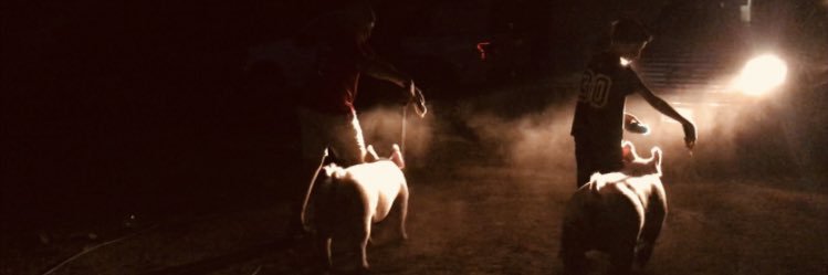 MichaelRezendes's profile banner image