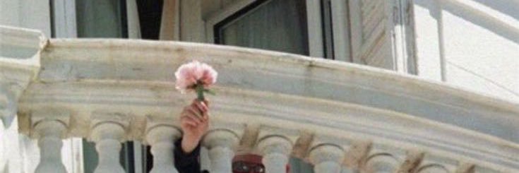 bibite_e's profile banner image