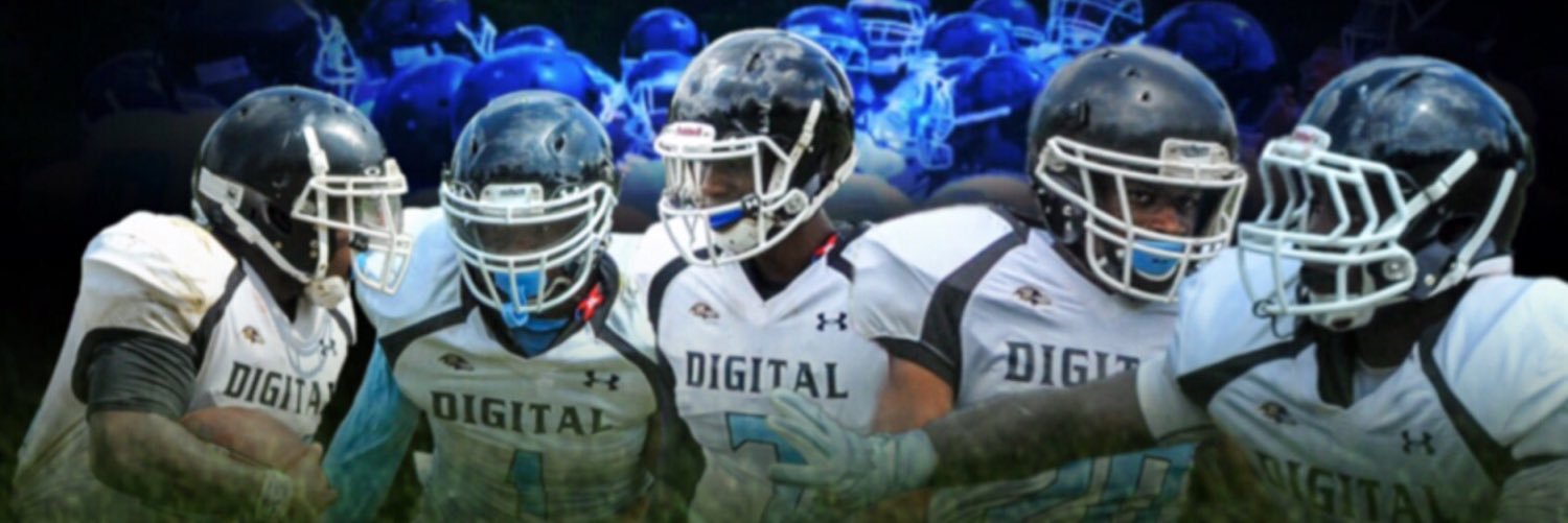 Digital Harbor Rams banner