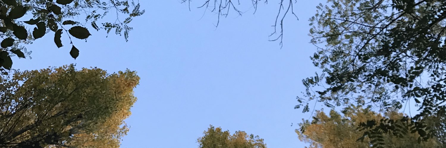 Ju_Morin's profile banner image