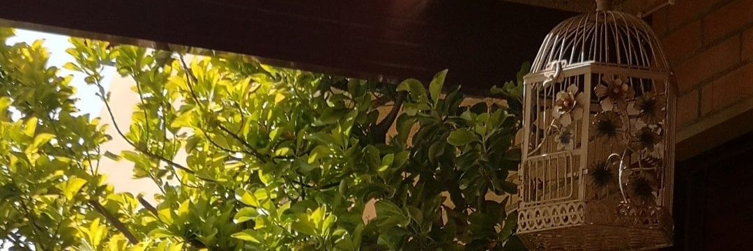 oscaryjp_hs's profile banner image