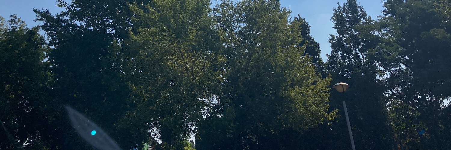 askienette's profile banner image