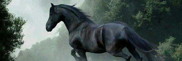 alsadi_mohamd's profile banner image