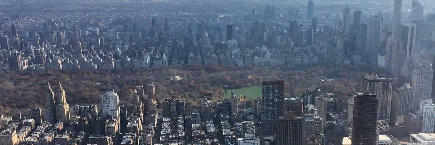 DatFlyGuyMoe's profile banner image