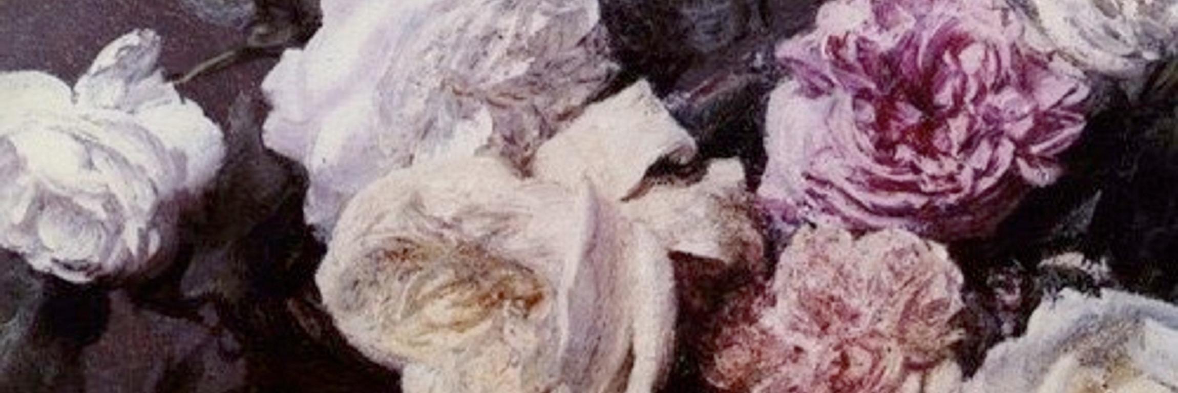 Vialacctea's profile banner image