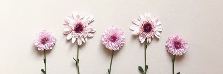 manelly96's profile banner image
