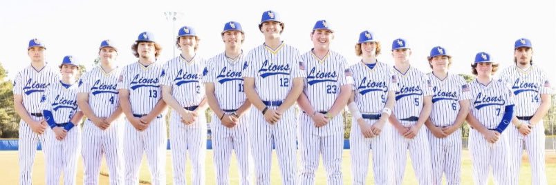 Loris Lions Baseball banner
