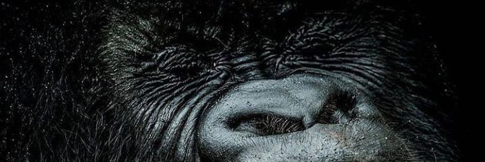 GlaDiAtore255's profile banner image