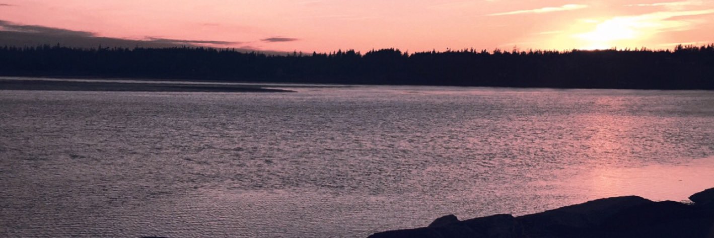 _msstevenson's profile banner image