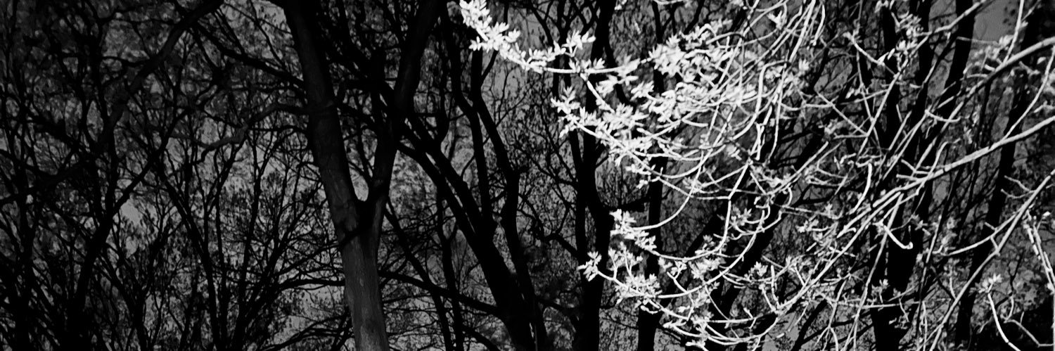 supalow216's profile banner image