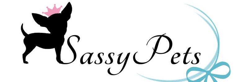 Twitter banner for @PetSassy